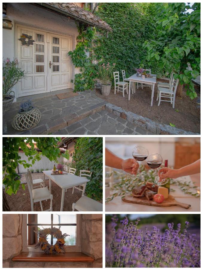 Apartment Ana - Karst Cycling Paradise Dutovlje Dış mekan fotoğraf