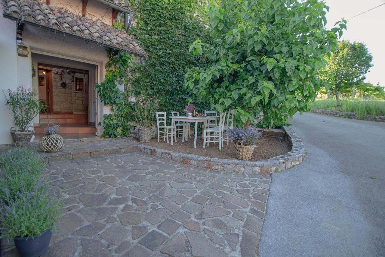 Apartment Ana - Karst Cycling Paradise Dutovlje Dış mekan fotoğraf
