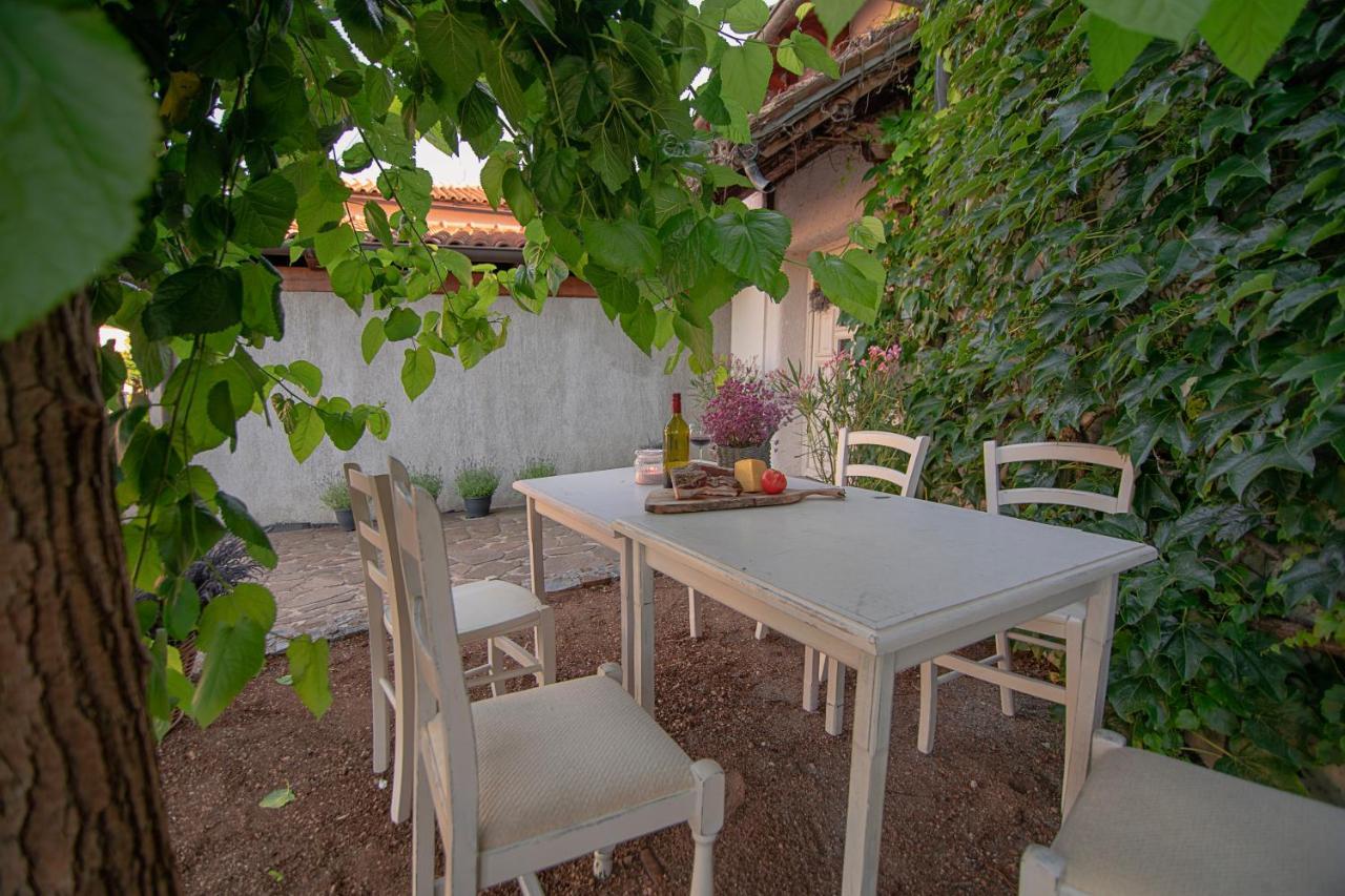 Apartment Ana - Karst Cycling Paradise Dutovlje Dış mekan fotoğraf