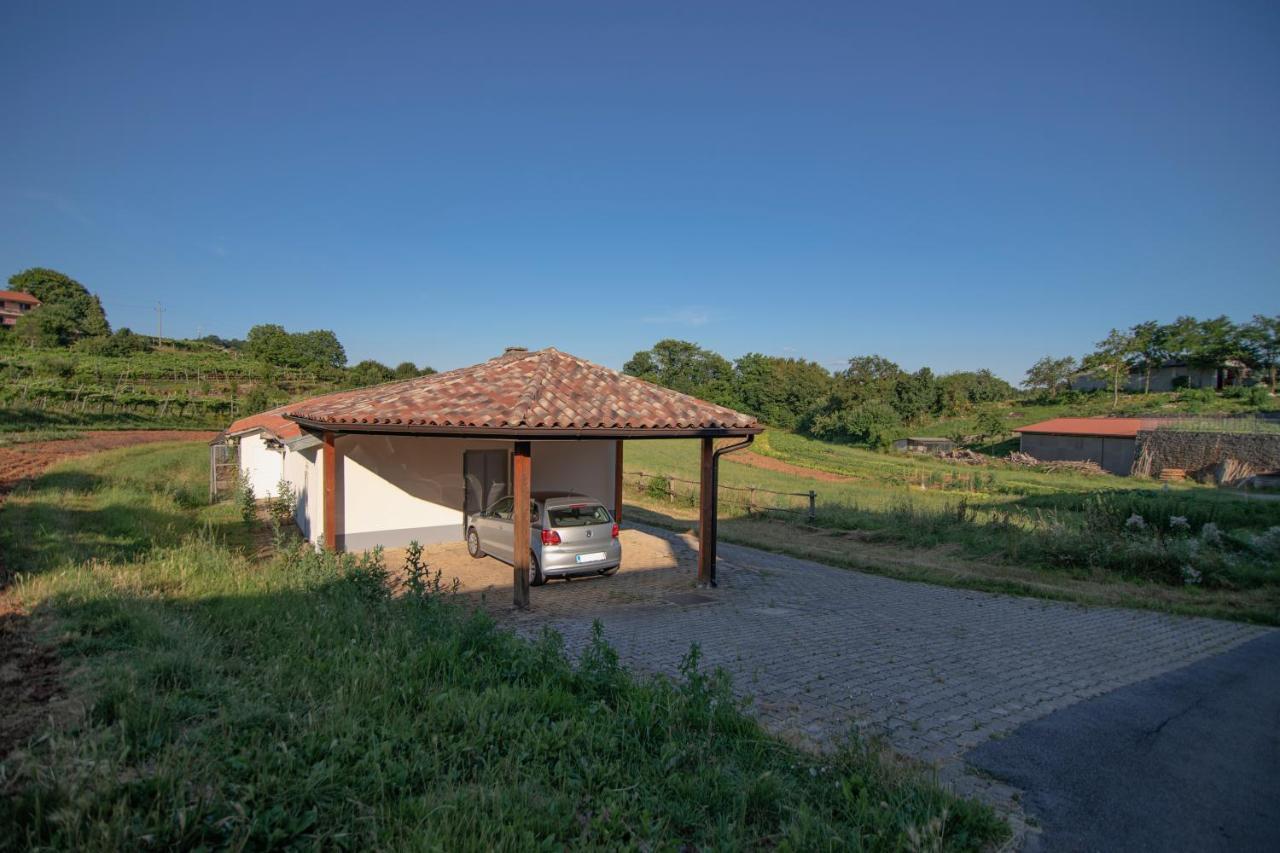 Apartment Ana - Karst Cycling Paradise Dutovlje Dış mekan fotoğraf