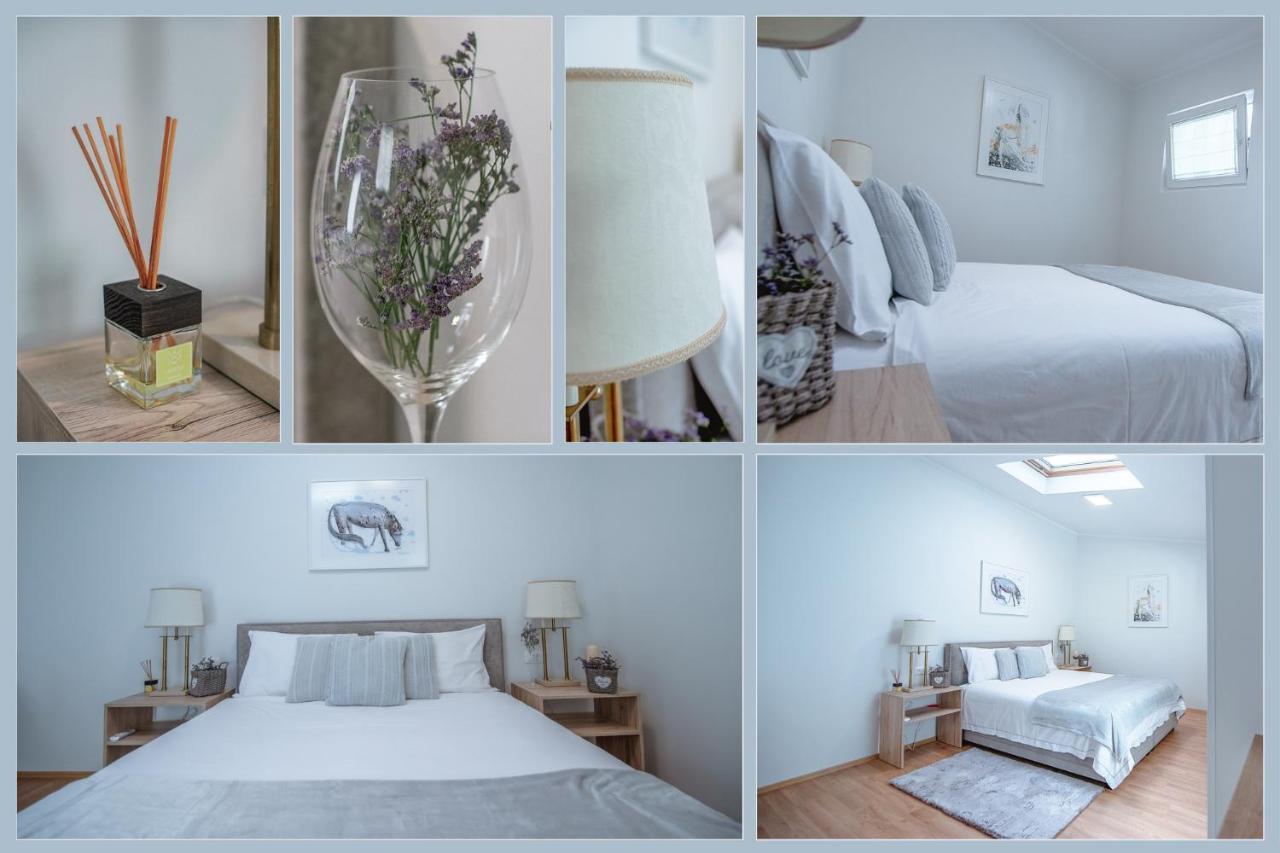 Apartment Ana - Karst Cycling Paradise Dutovlje Dış mekan fotoğraf