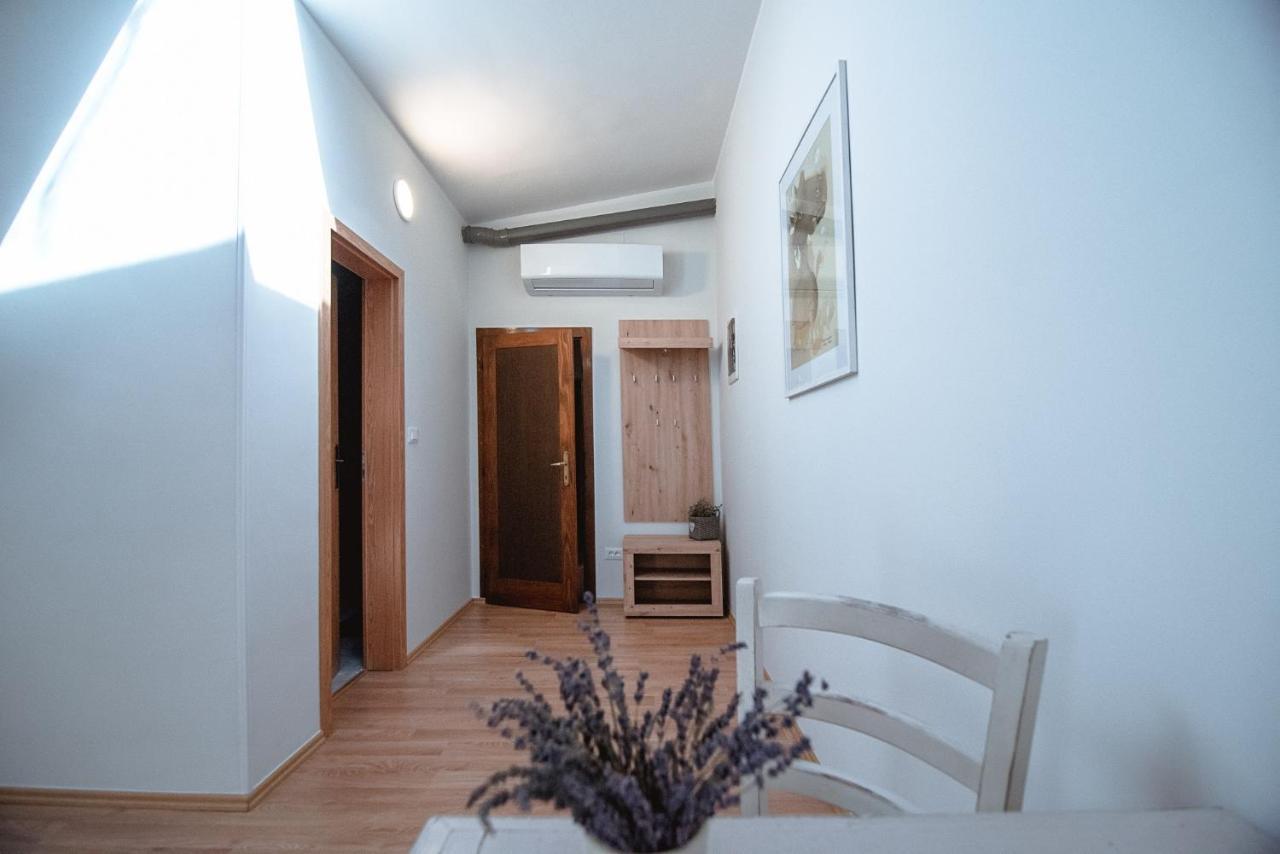 Apartment Ana - Karst Cycling Paradise Dutovlje Dış mekan fotoğraf
