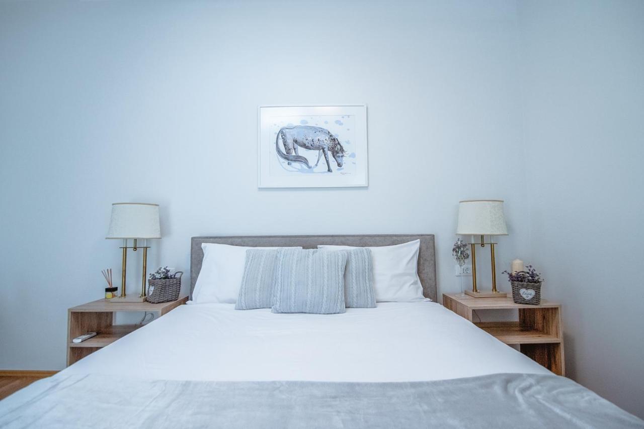 Apartment Ana - Karst Cycling Paradise Dutovlje Dış mekan fotoğraf