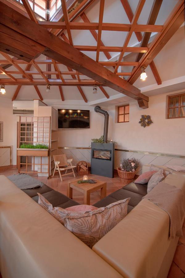 Apartment Ana - Karst Cycling Paradise Dutovlje Dış mekan fotoğraf